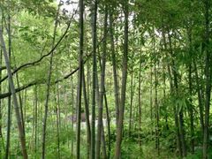 android_upload_pic-天目湖御水温泉·度假酒店