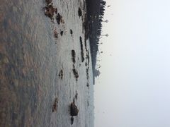 iphone_upload_pic-栈桥景区