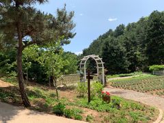 -云峰山自然风景区