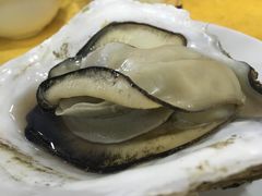-蚝专家(北滘店)