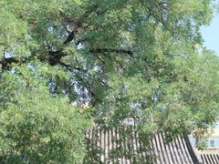 -宣南文化博物馆
