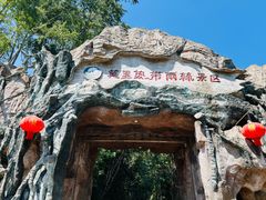 -莫里热带雨林景区