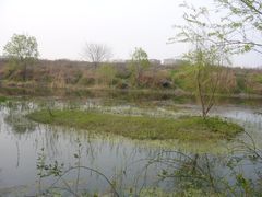 -新江湾城公园