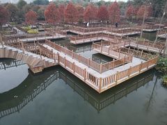 -五缘湾湿地公园