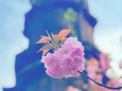 -北固山景区