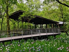 -西湖风景区-江洋畈生态公园