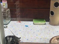 -驭力搏击健身(张江高科店)