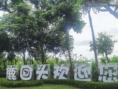 -鹿回头风景区