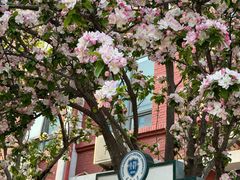 -天津五大道文化旅游区