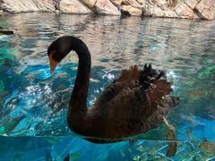 -上海海洋水族馆