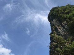 -武陵山森林公园
