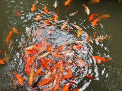 -豫园