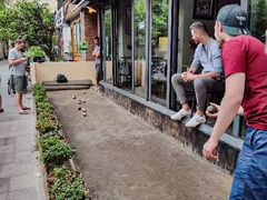 -LA  PETANQUE(泰安路店)