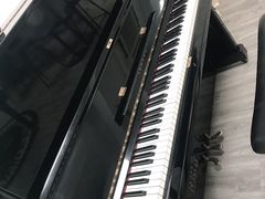 -梅纳·钢琴声乐架子鼓Mena Music(双井店)