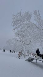 -大秃顶子山