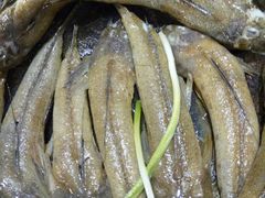 甘蔗炖排骨-森记鱼粥