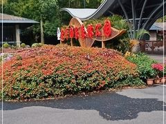 -东平国家森林公园