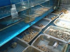 水产区-金谷园饺子·烧烤·家宴(人大总店)