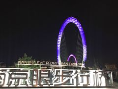 -南京眼步行桥