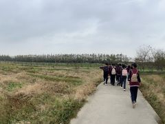 -上海长兴岛郊野公园