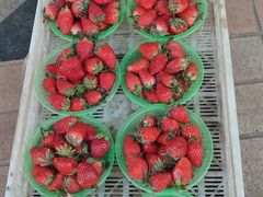 -东方鼎信农副产品交易中心