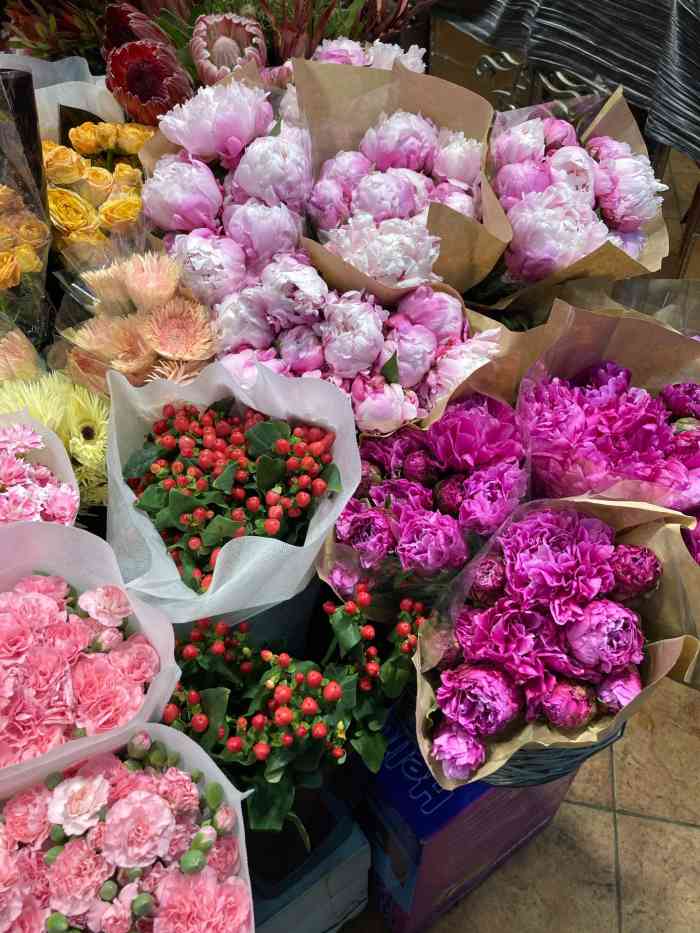 青怡坊花鸟鱼宠交易中心-"青怡坊90是老长春人都比较熟悉的花鸟鱼虫