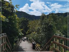 -野象谷景区