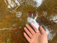 -天目湖御水温泉·度假酒店