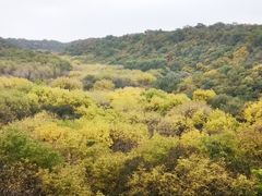 -大青沟风景区