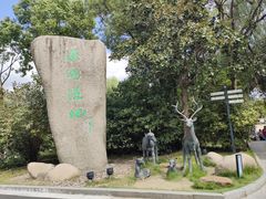 -溱湖国家湿地公园