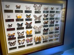 -上海昆虫博物馆