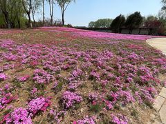 -石家庄市植物园
