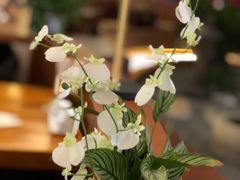 -游You House(西单老佛爷店)