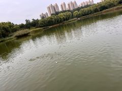 -燕郊植物园