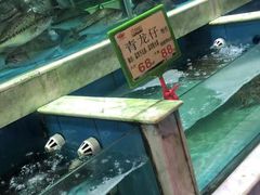 水产区-盆满钵满·国家非遗传承(云台店)