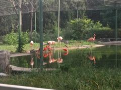 -石家庄市动物园