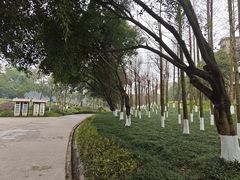 -重庆彩云湖湿地公园