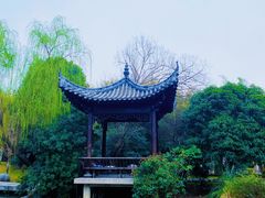 -武汉园博园(武汉自然博物馆)