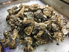 生蚝-悦橙烤肉海鲜自助(中央大街店)