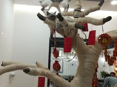 -袖虎·猫馆(体育西路店)