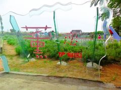 -百万葵园