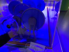 -苏州青少年科技馆