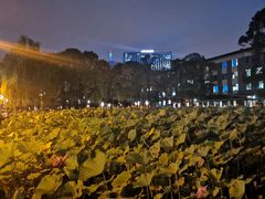 -四川大学(望江校区)