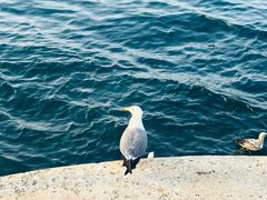 -大连海昌东方水城