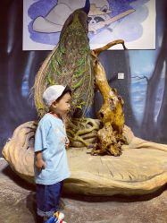 -酷嗒动物文化乐园(cutezoo西溪乐天城店)