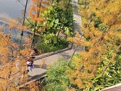 -云溪植物园