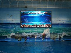 景点-多彩贵州城极地海洋世界