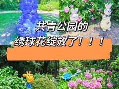 -上海共青森林公园