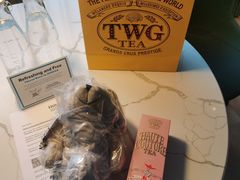 -新加坡乌节希尔顿酒店 (SG Clean)