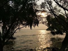 -宝安西湾红树林湿地公园